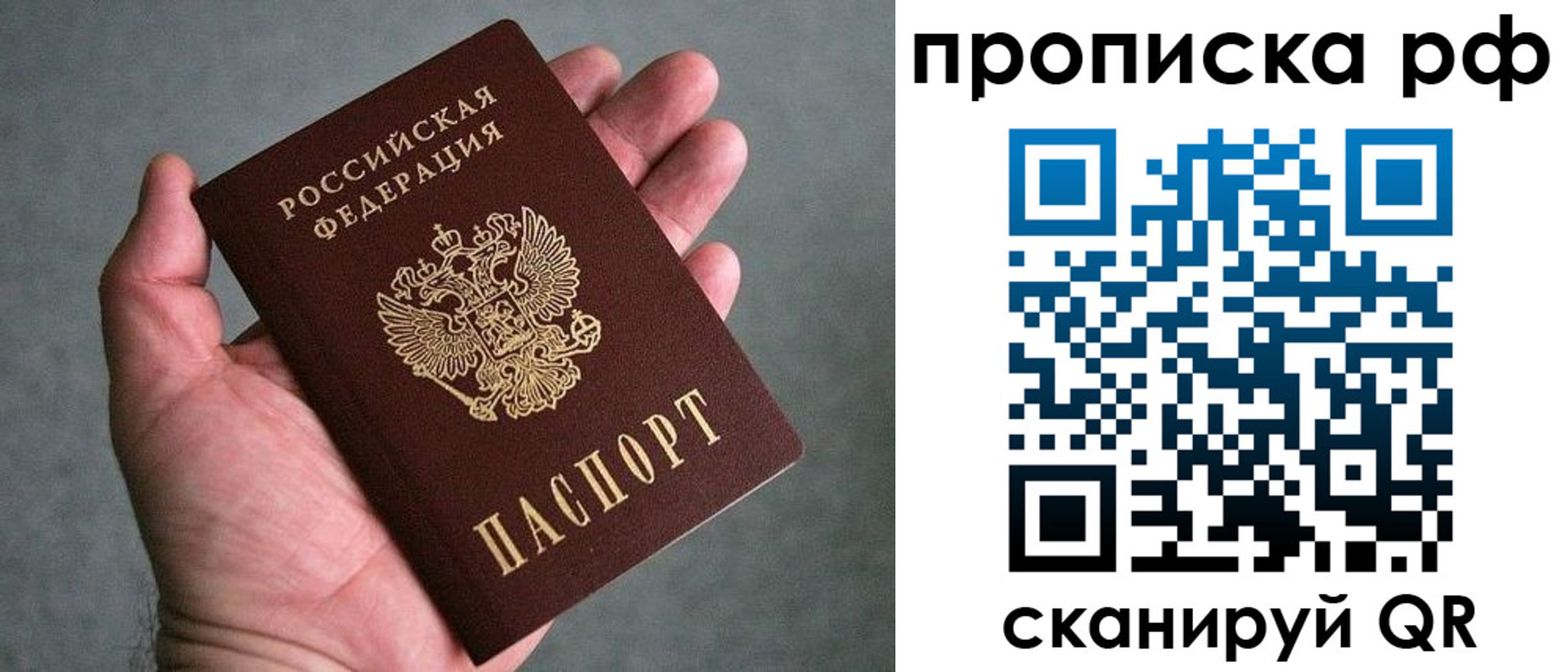 прописка поиск в Волосово